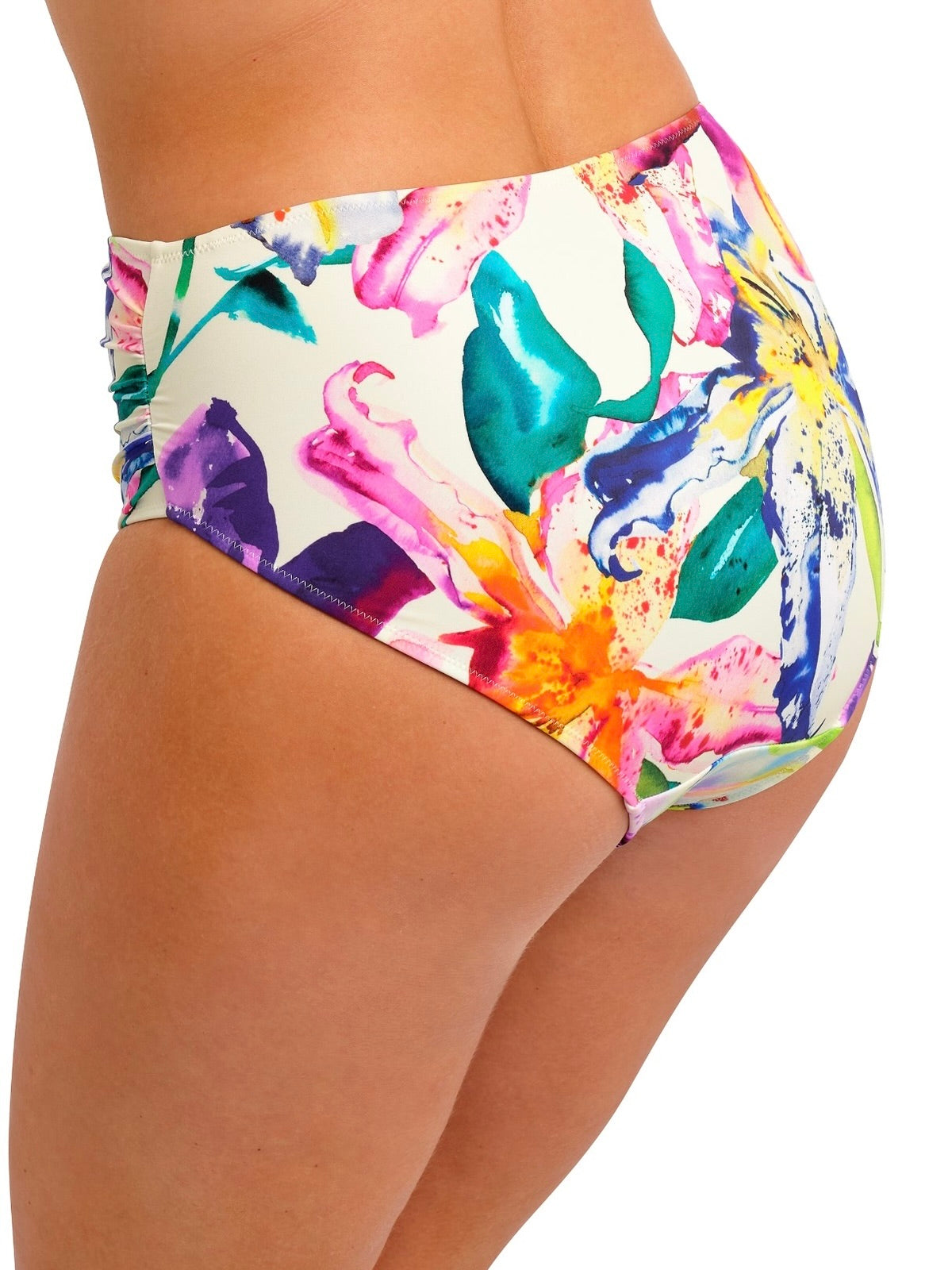 Iguazu Falls Full Bikini Briefs