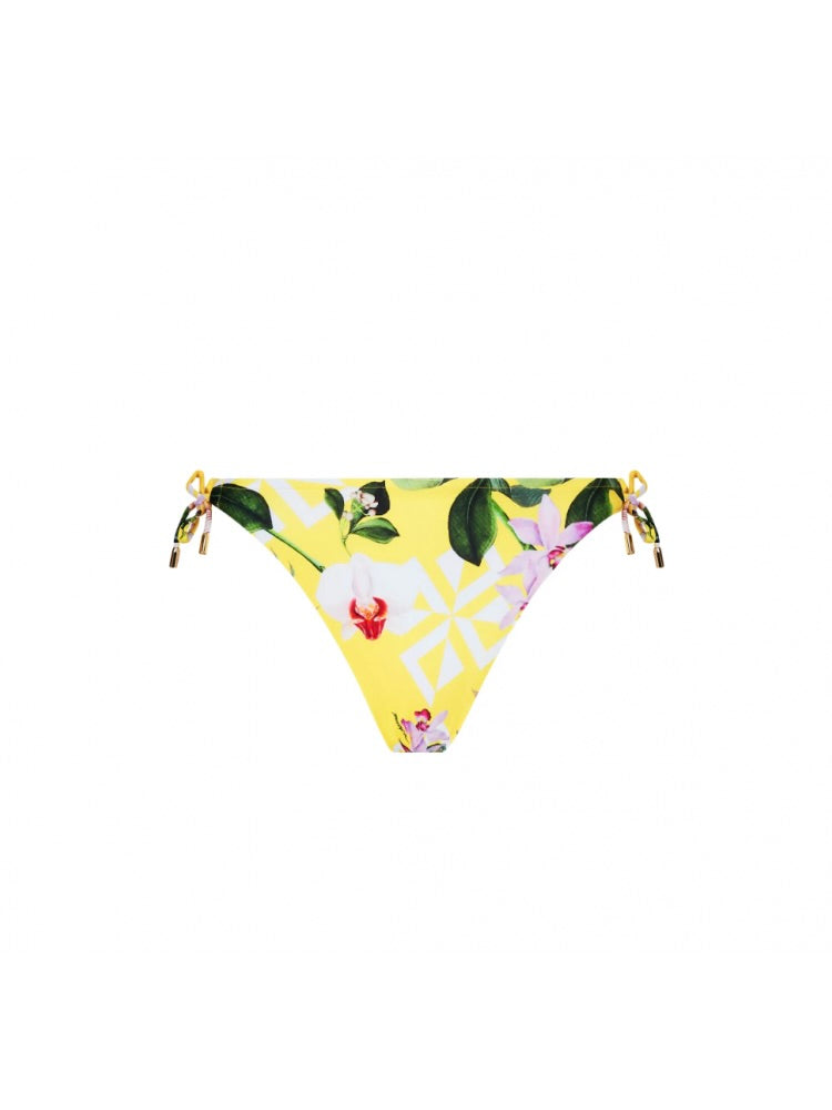 Jardin Delice Bikini Bottom