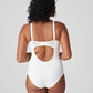 Springdale Body
