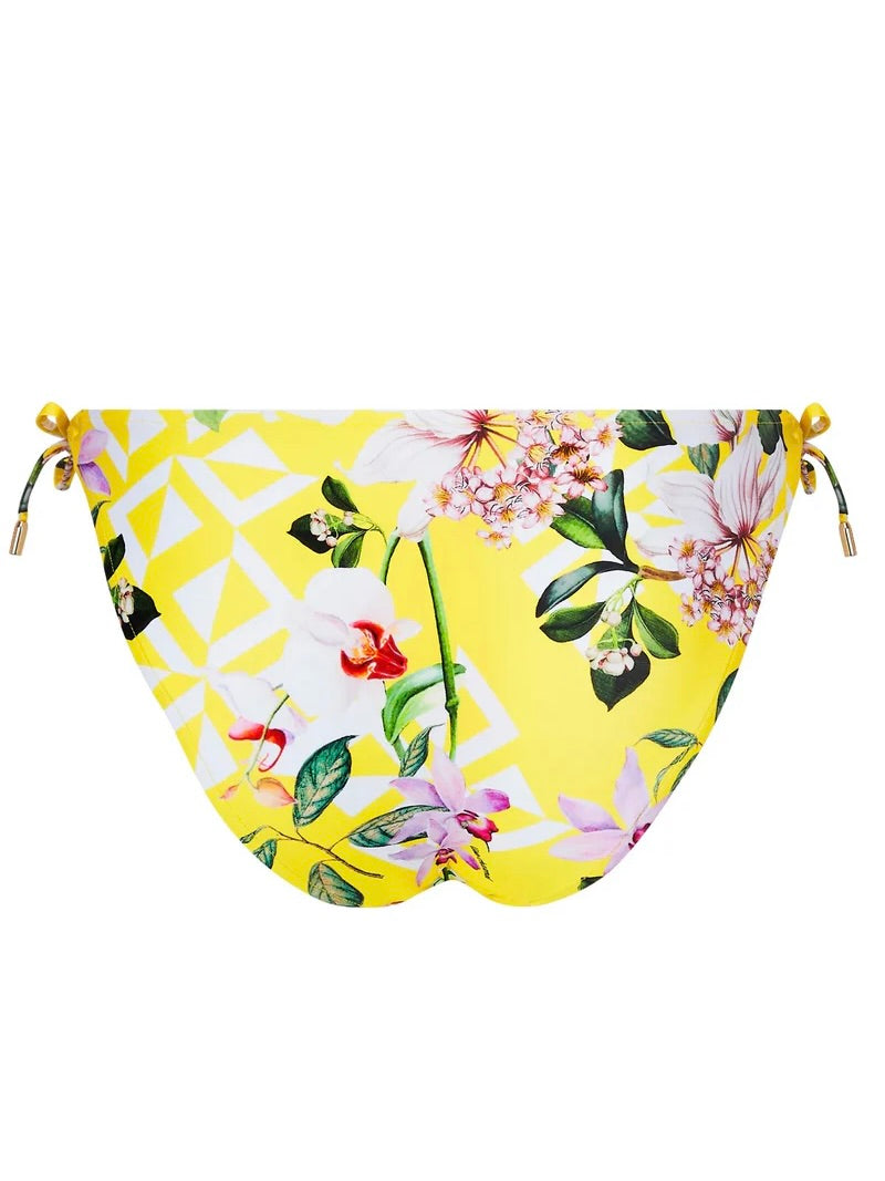 Jardin Delice Bikini Bottom