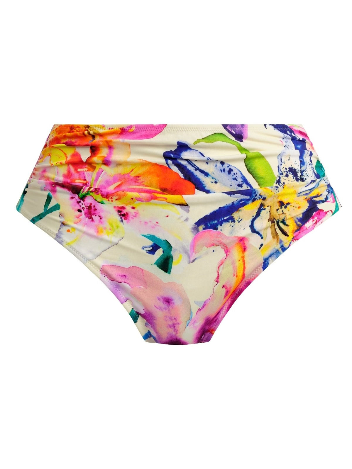 Iguazu Falls Full Bikini Briefs